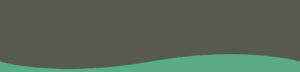 Home-page-slider